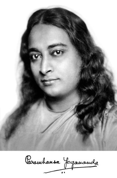 The Answer - online film