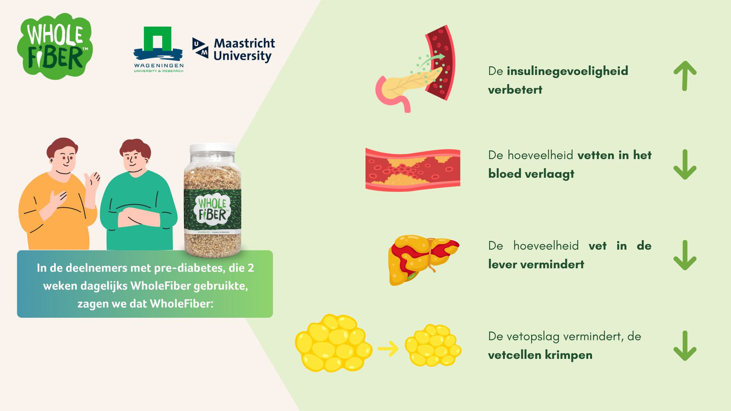 WholeFiber chicory root bundel