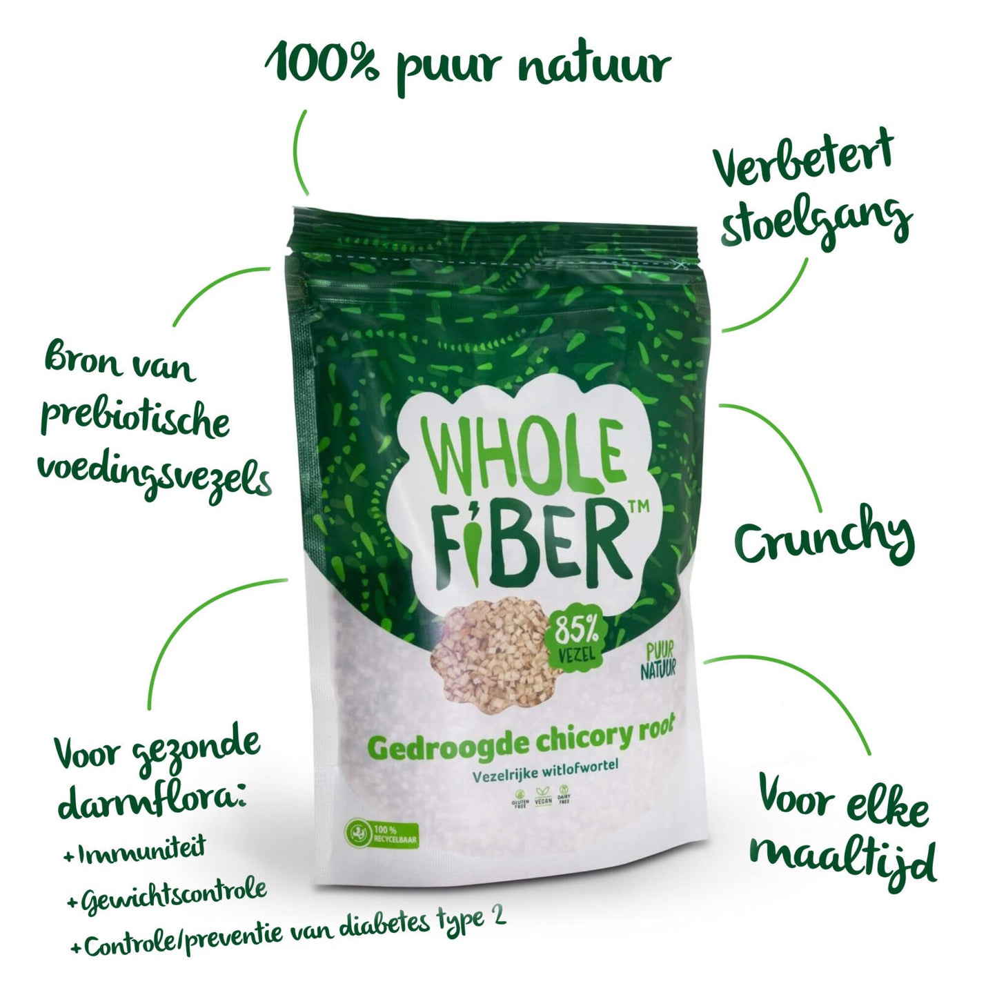WholeFiber chicory root bundel